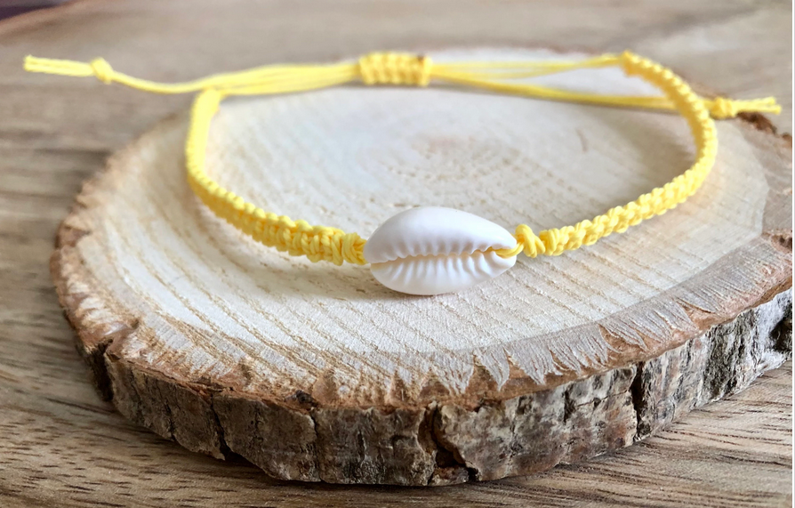 Collection « Coquillage »