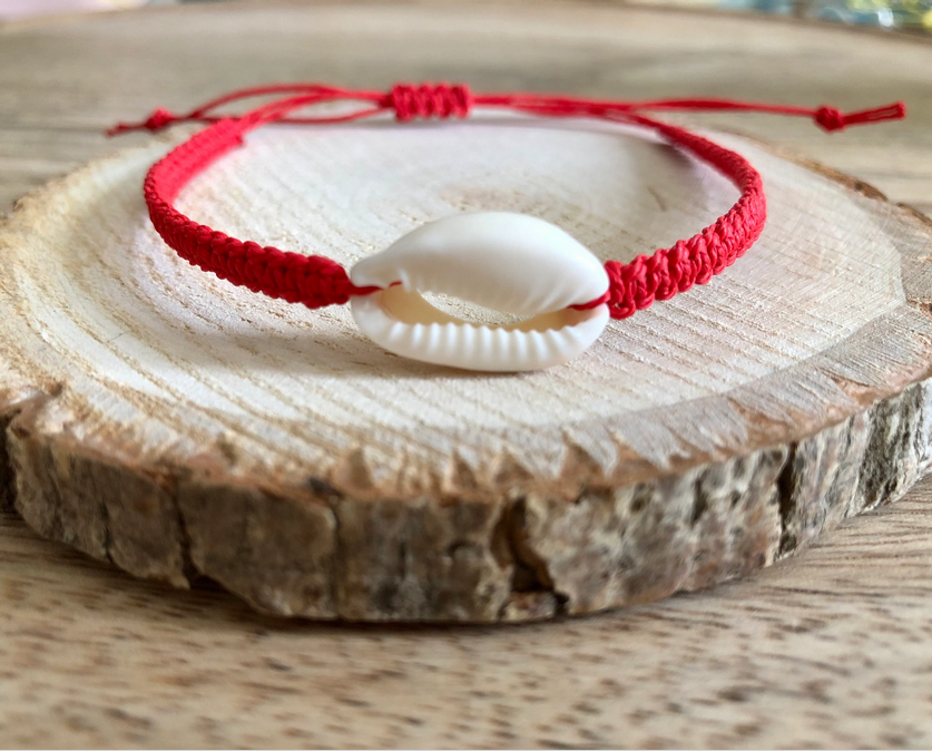 Collection « Coquillage »