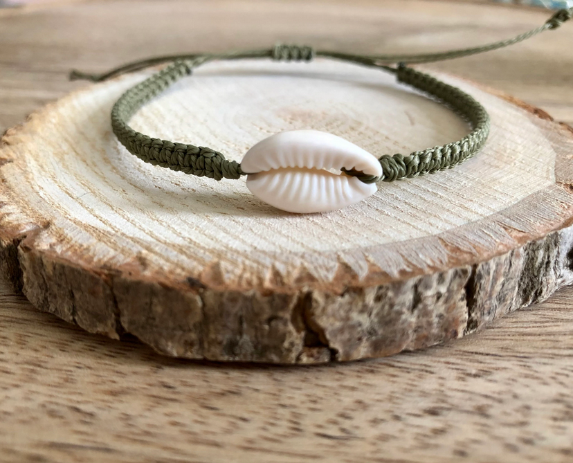 Collection « Coquillage »