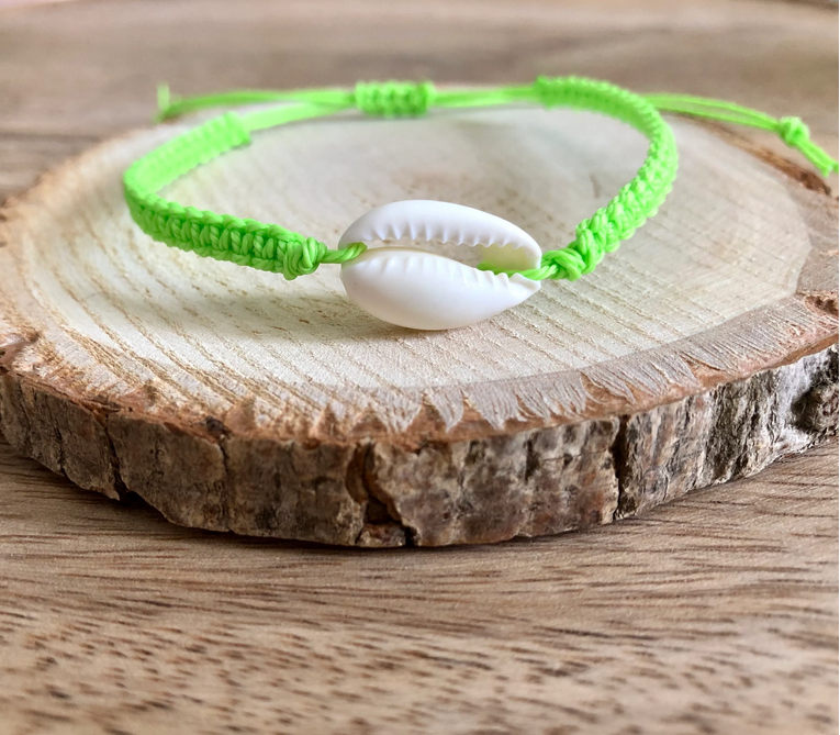 Collection « Coquillage »