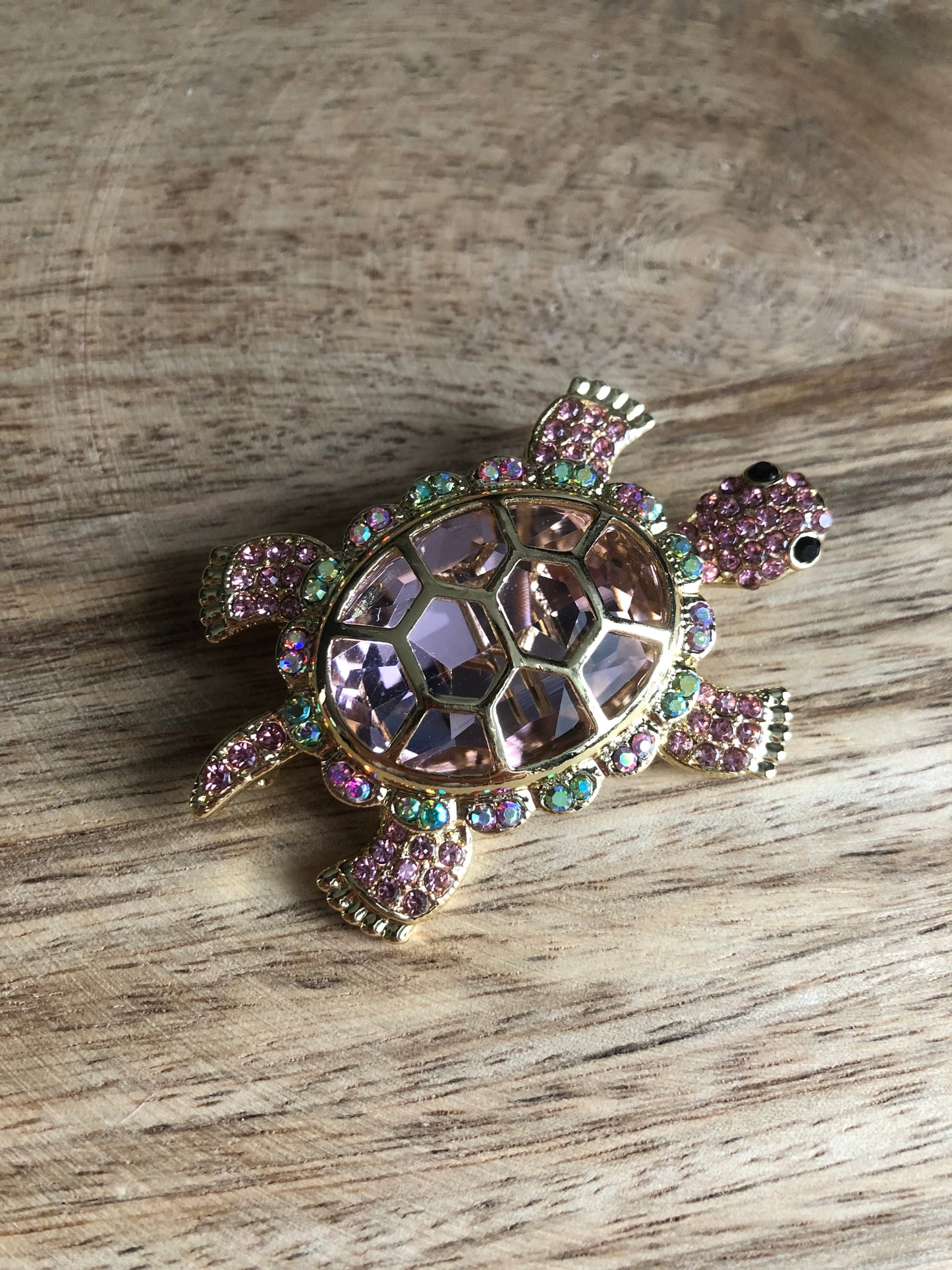 Broche Tortue